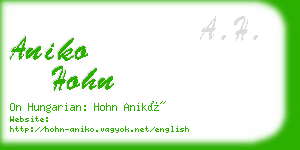 aniko hohn business card